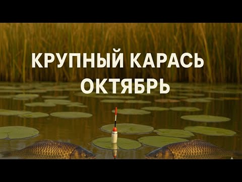 Видео: Закрываем сезон Рыбалки! Карась 
