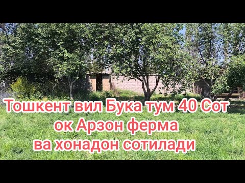 Видео: Таййор мини ферма ва хонадон сотилади шошилинг арзон соралди