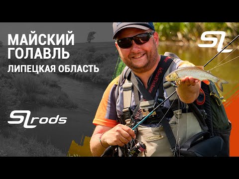 Видео: Ловля голавля. Знакомство с красивейшей рекой Олым. Жара. Все ушли на нерест.