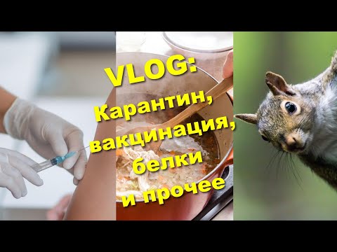 Видео: Про вакцинацию в Англии, противозачаточное для белок и мозговые косточки.