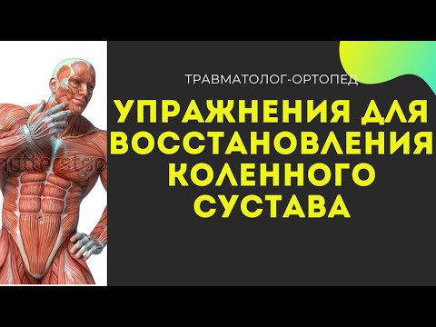Видео: УПРАЖНЕНИЯ ДЛЯ ВОССТАНОВЛЕНИЯ КОЛЕННОГО СУСТАВА | Становая Тяга и Присед