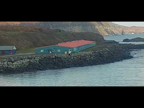 Видео: Итуруп