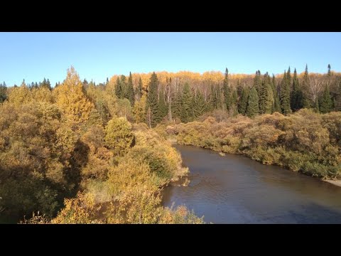 Видео: ВЫКОПАЛИ С ВНУЧКОЙ КАРТОШКУ 🥰ПОКУПКИ