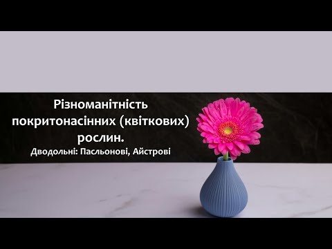 Видео: Біологія 7 клас (Балан). §33 Різноманітність покритонасінних (квіткових) рослин. Дводольні. Ч2