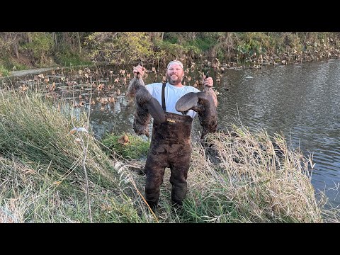 Видео: мы отомстили (трэппинг 2025-26 эп.4)