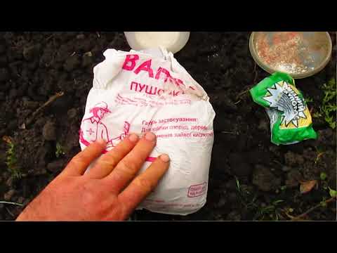 Видео: ПОЧЕМУ Я НЕ ОБРАБАТЫВАЮ ХОРУСОМ И СКОРОМ.  Обработки в мае.