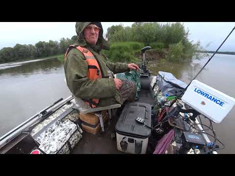 Видео: рыбалка на Чулыме 26.08.25