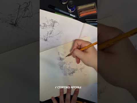 Видео: Пишем дерево как профессионал!