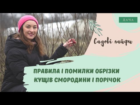 Видео: Правила і Помилки Обрізки Кущів Смородини і Порічок.