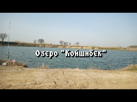 Видео: Рыбалка у Азамата озеро "Койшибек".