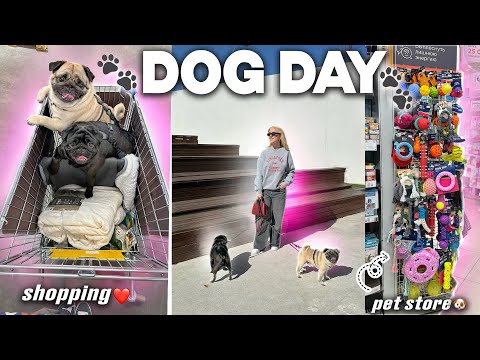 Видео: DOG DAY VLOG!🐾 24 часа ВМЕСТЕ! Прогулка, Зоомагазин и ПЕРВЫЙ ШОПППИНГ в Лента С СОБАКАМИ!🐶