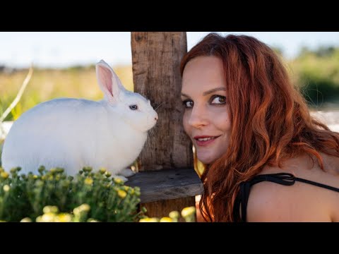 Видео: Лісан - Пісня про зайців | Official Video