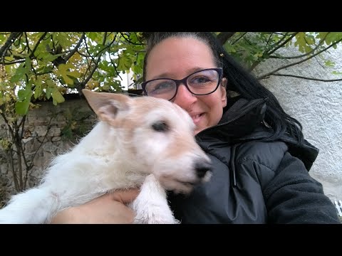 Видео: От старо ново - столовете! Боби 🐕 кино звезда и слагаме корнизи - 71 епизод