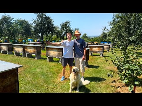 Видео: ЯРОСЛАВ МУХА як став успішним пасічником? 180 кг меду з вулика! Велике інтерв'ю Частина 1.