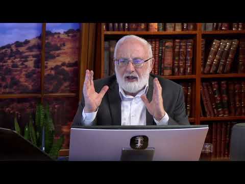 Видео: Рост из состояния нуля