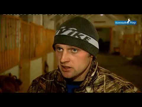 Видео: Конный завод | Агро-Галан | Часть 2