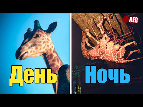 Видео: НОЧЬЮ ТУТ ПРОИСХОДИТ ЧТО ТО СТРАННОЕ | ZOOCHOSIS #1