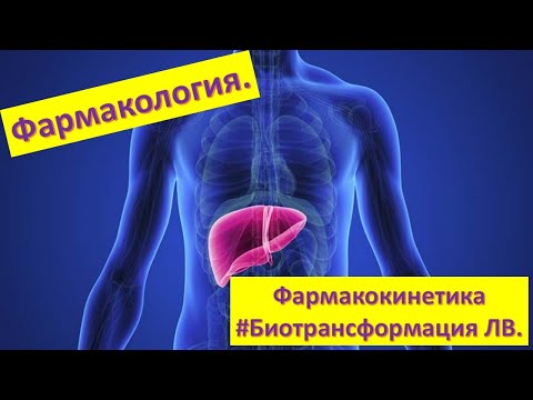 Видео: #6 Биотрансформация лекарственных веществ. Пролекарство. Ксенобиотики. Метаболизм этанола в печени.