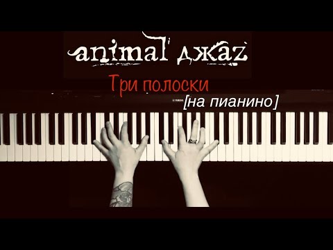 Видео: Animal Джаz - Три полоски [на пианино] #animalджаz  #триполоски