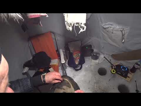 Видео: Озеро Салтаим. декабрь 2022