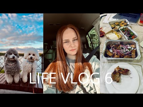Видео: МОЙ МАКИЯЖ, СБОРЫ И ЛУКИ | ПРОГУЛКА С СЕМЬЕЙ | ОБЕД В КОФЕЙНЕ | ПУДЕЛЯ | ШАШЛЫК ИЗ ШАШЛЫЧКИ | VLOG 6
