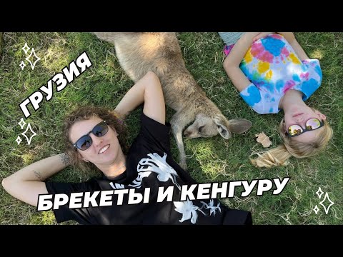 Видео: Грузия, брекеты и кенгуру