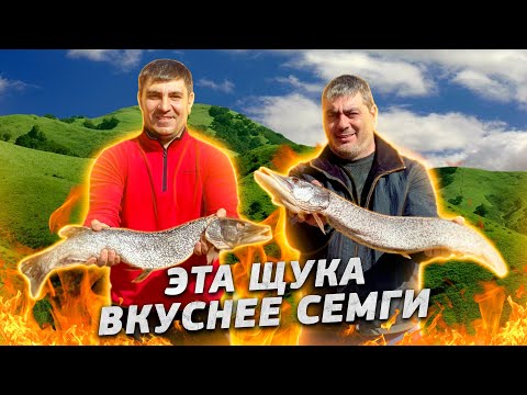 Видео: ЖАРЕНАЯ РЫБА на СКОВОРОДЕ. ЩУКА с ОВОЩАМИ! ENG SUB