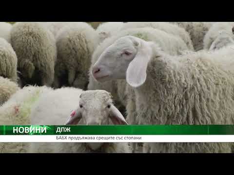Видео: Централна емисия новини на АГРО ТВ – 16.09.2025 г.
