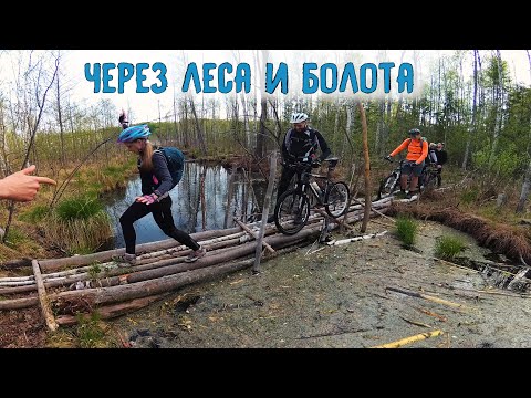 Видео: Лесные мтб приключения На велосипедах по болотам /10.05.2019/