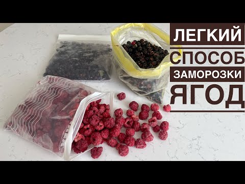 Видео: Легкий способ заморозки ягод. Жемістерді қалай қатырамыз. Қысқа дайындық. Frozen berries.