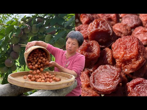 Видео: Сливовое дерево, бабушка собирает и ест, чтобы сделать традиционные черносливы