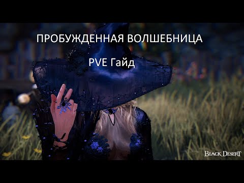 Видео: Пробужденная Волшебница 2025 ПВЕ Гайд. Black Desert