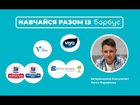 Видео: Харчові потреби собак зрілого віку.