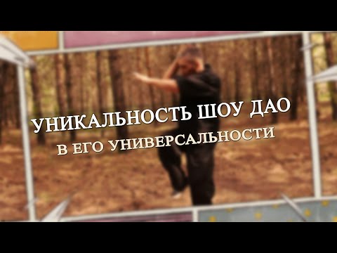 Видео: Уникальность школы Шоу Дао в универсальности