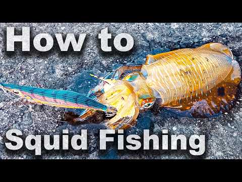 Видео: Простые советы по ловле кальмара для новичков | Эги для всех