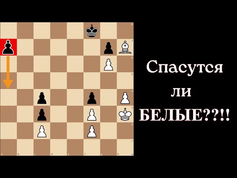 Видео: Этот ход перевернул всю партию!