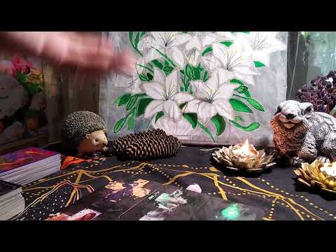 Видео: ПОСЛАНИЕ ОТ РОДА ч 1.#оракул#siraya