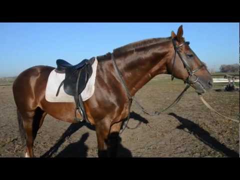 Видео: Покровский РАЙ