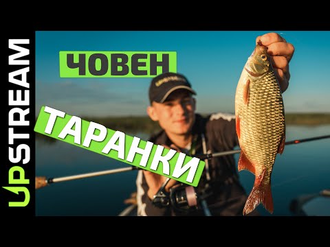 Видео: ЧЕРВОНОПІРКА на СИЛІКОН. Рибалка на спінінг з човна. Багато ОКУНЯ | UPSTREAM