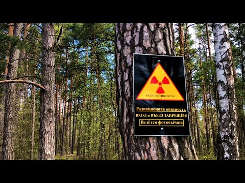 Видео: Поход в Зону отселения 2022 (Ветковский район, Гомельская обл)