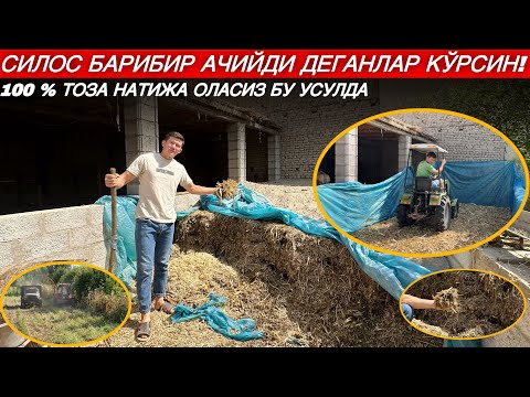 Видео: УЙДА МАНА ШУНДАЙ СИЛОС БОСИШ КЕРАК 100% ТОЗА ЧИҚАДИ