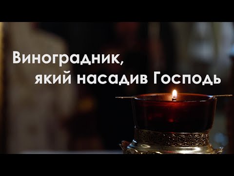 Видео: Фільм "Виноградник, який насадив Господь"