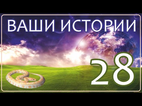 Видео: Жизнь после Смерти | Ваши Истории #28