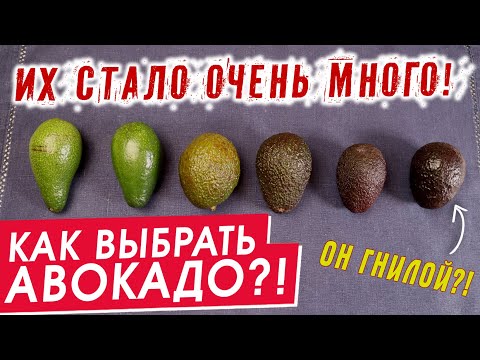 Видео: Как выбрать авокадо | ПОЛНЫЙ ТЕСТ | Сорта авокадо