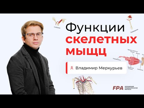 Видео: Функции скелетных мышц | Владимир Меркурьев (FPA)