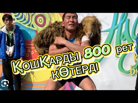 Видео: 120 кг қошқарды көтеруден қазақстан РЕКОРДЫН қойды#қошқар #той #хиты