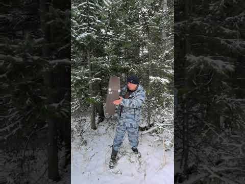 Видео: всегда беру с собой в лес чемодан #жиза #юмор #выживание_в_майнкрафт #природа #лесной