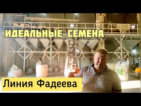 Видео: Как Александр Чумак делает семена идеальными