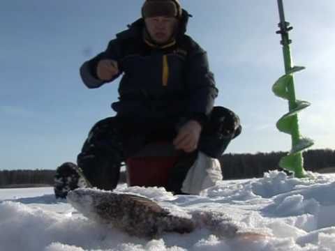 Видео: По клевым местам. Рыбалка на Иваньковском водохранилище