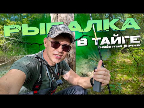 Видео: Рыбалка возле глухой и забытой таёжной деревни, глубоко в лесу в Приморском крае